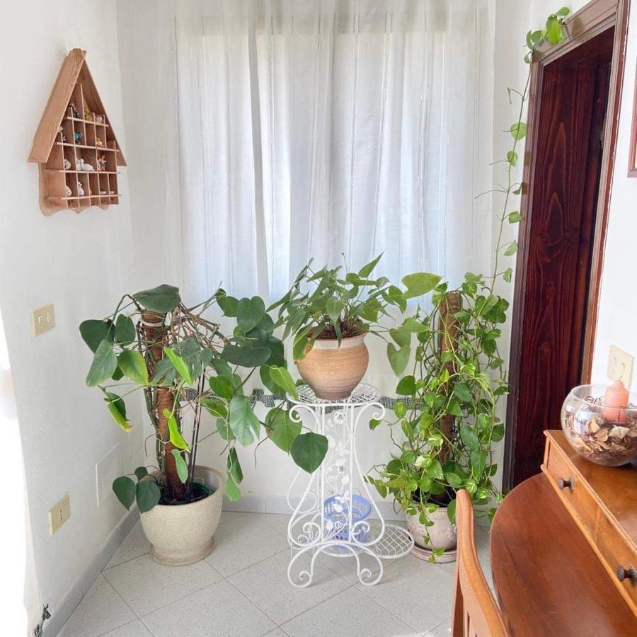 Casa Maltinu Vila Santa Teresa Gallura Exterior foto