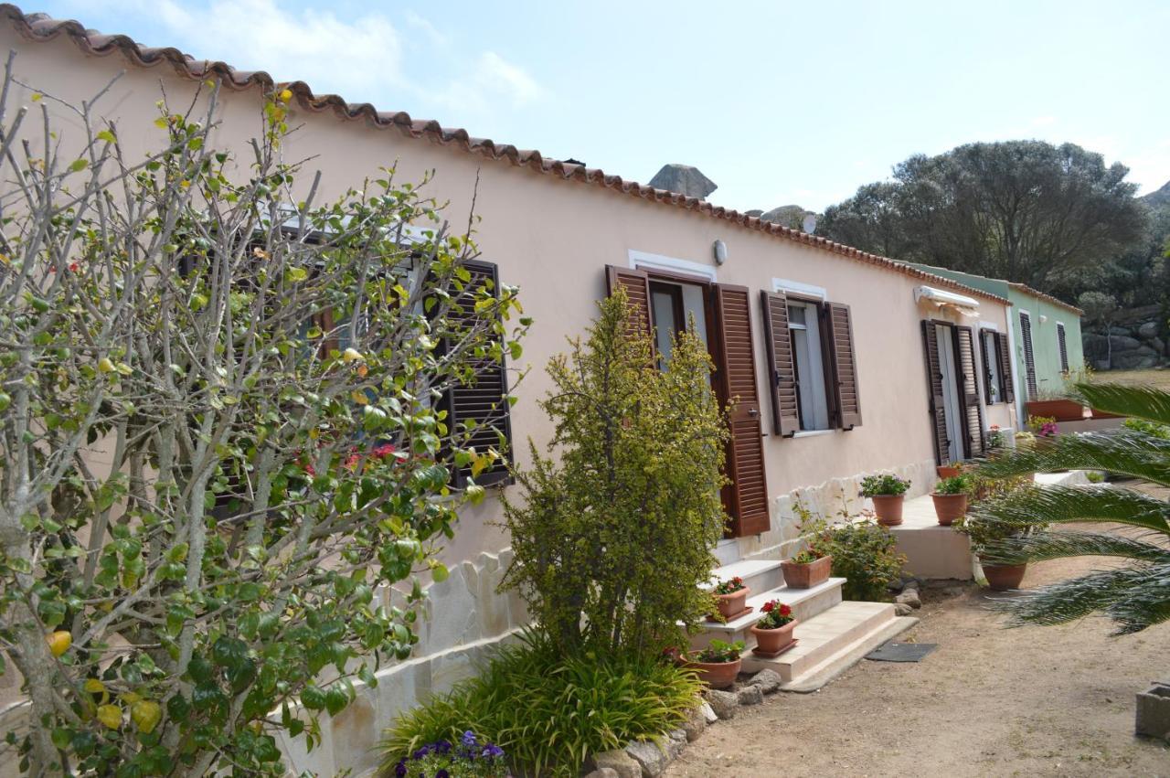Casa Maltinu Vila Santa Teresa Gallura Exterior foto