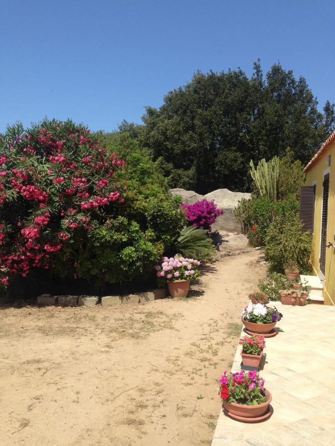 Casa Maltinu Vila Santa Teresa Gallura Exterior foto